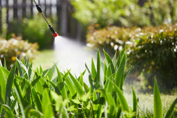 24/7 Emergency Wasp Removal experts in Lexington, MI