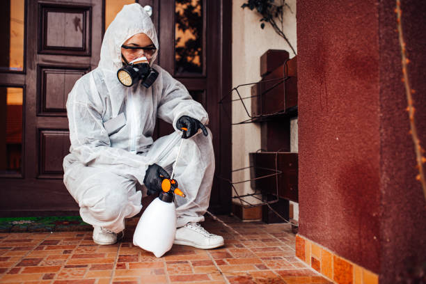 Reliable Wasp Removal contractor in Lexington, MI by Show Me Pest Control